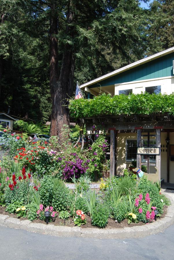 Fern Grove Cottages Guerneville Exterior photo