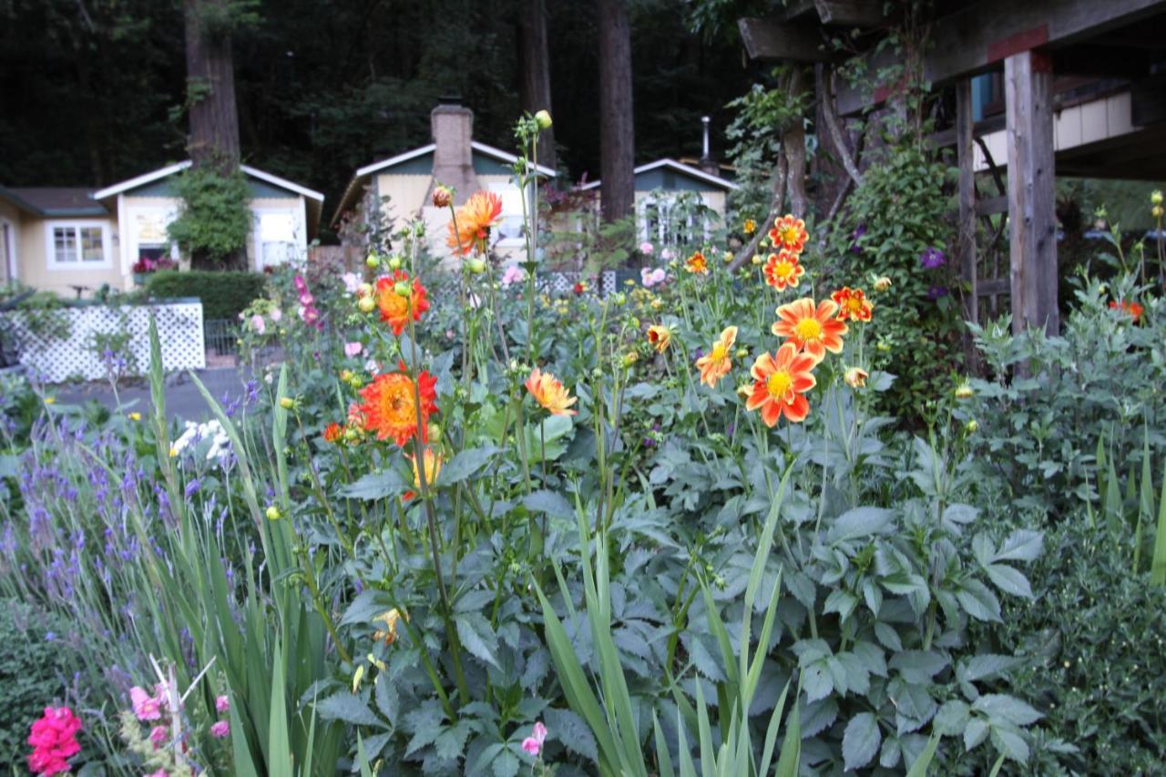 Fern Grove Cottages Guerneville Exterior photo